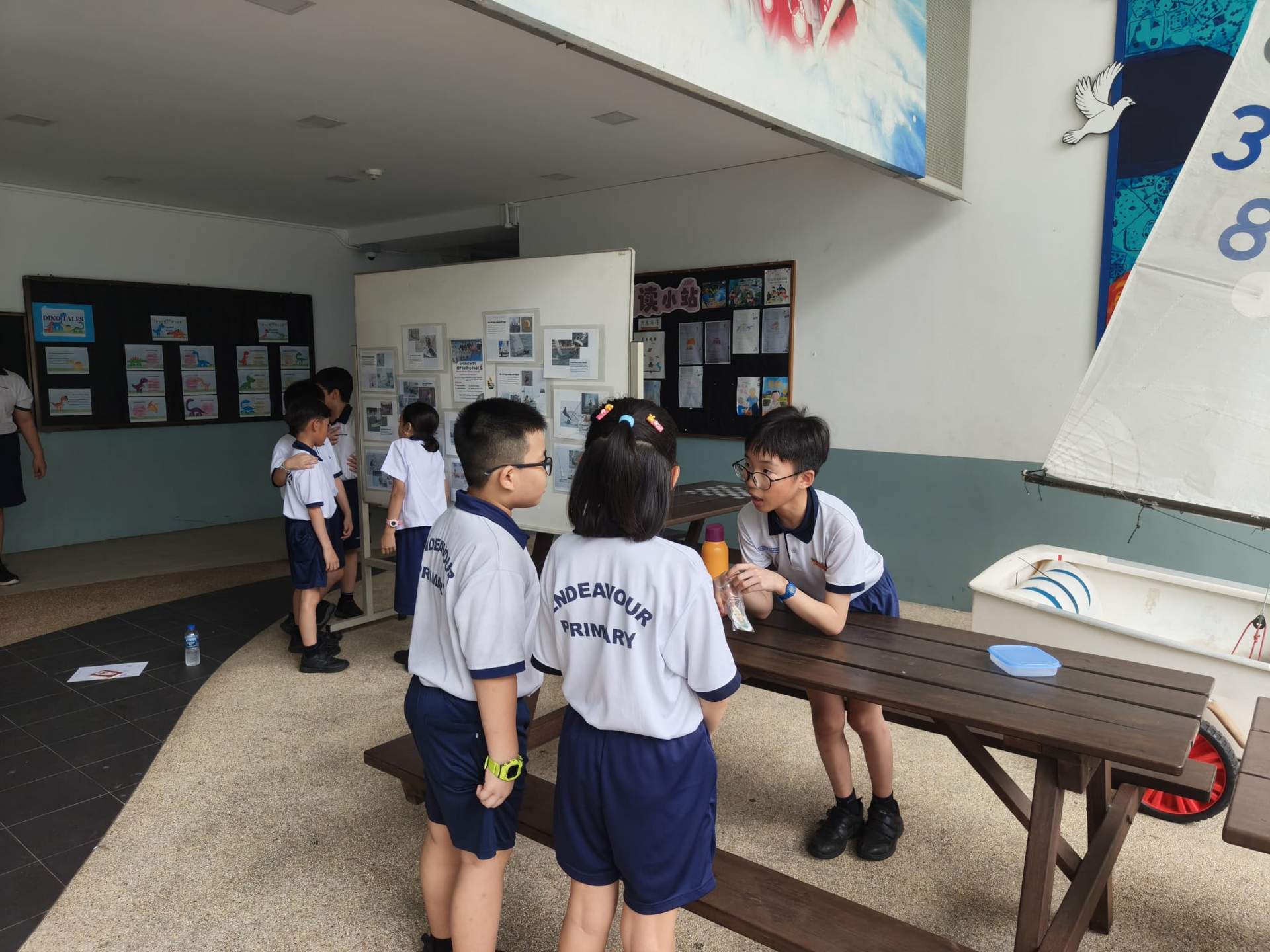 CCA experience showcase