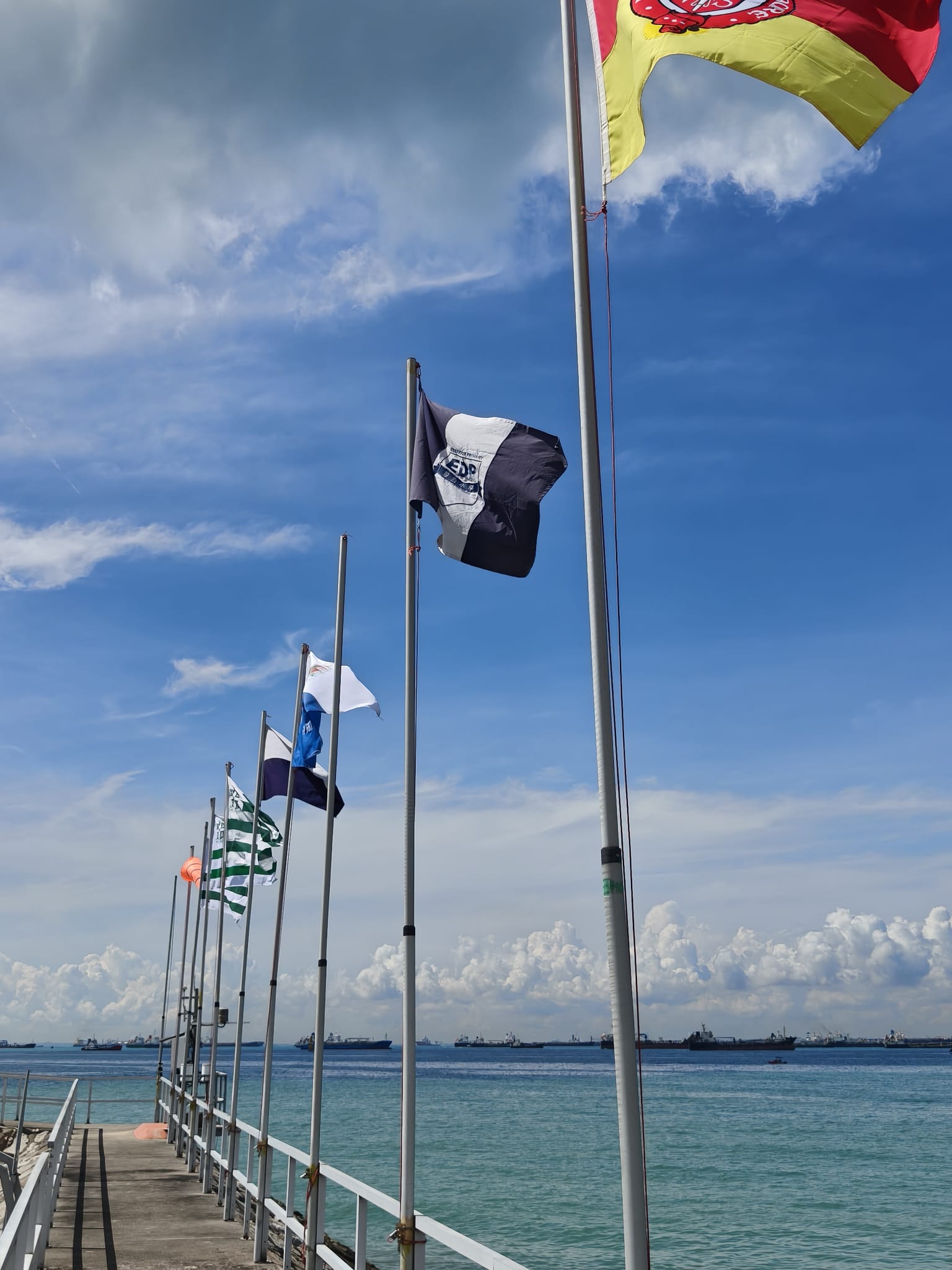 EDP flag flying high