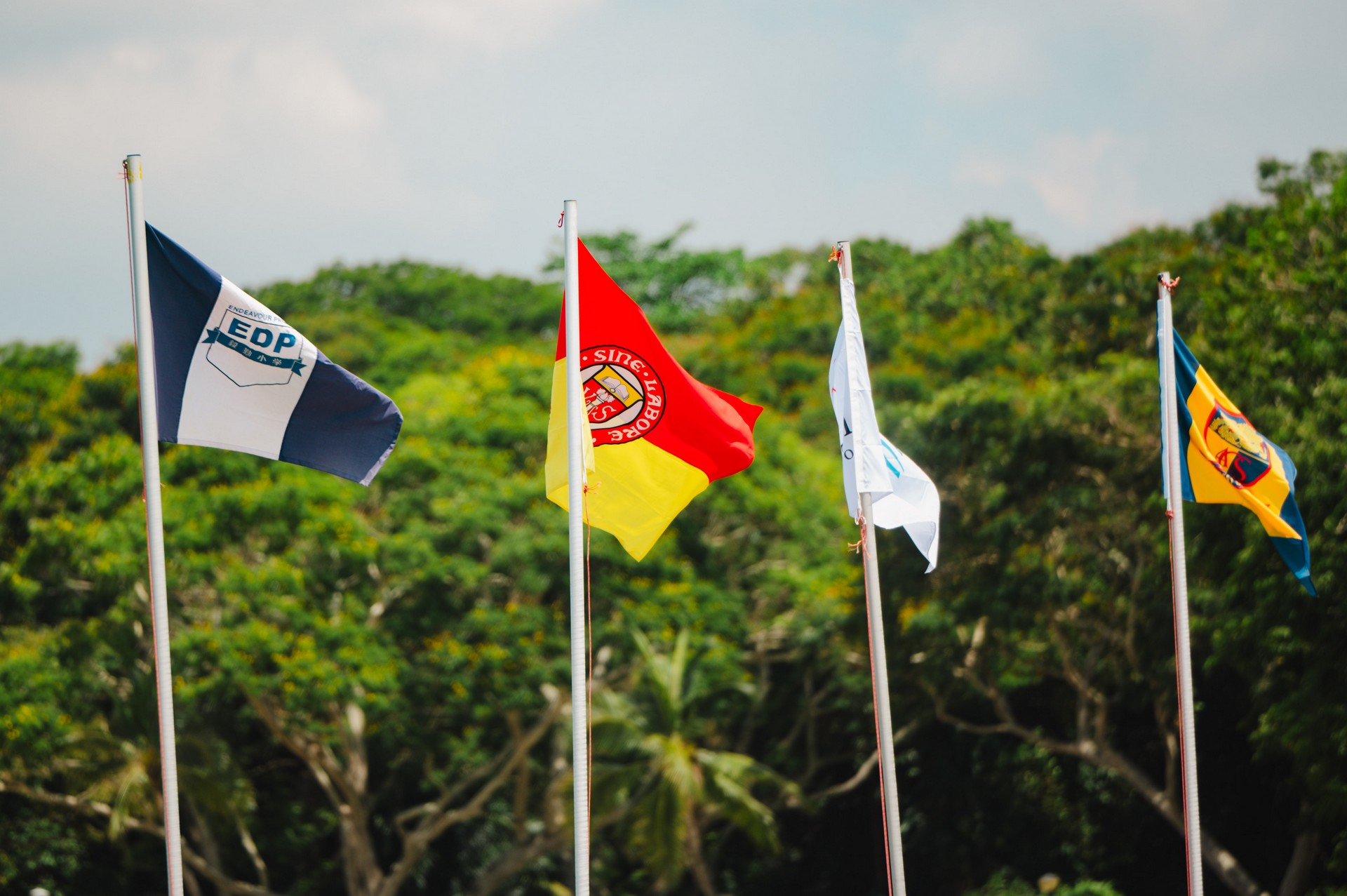 Endeavour school flag